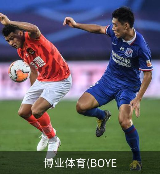 博业体育(BOYE概况